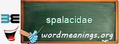 WordMeaning blackboard for spalacidae